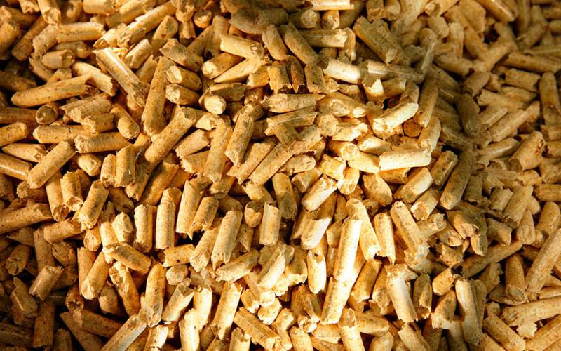 pellets.jpg