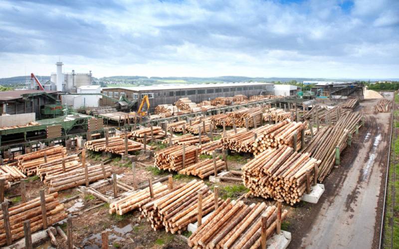 van-roje-gallerie-holzlager.jpg