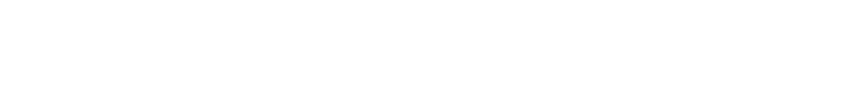 Zukunft Holz